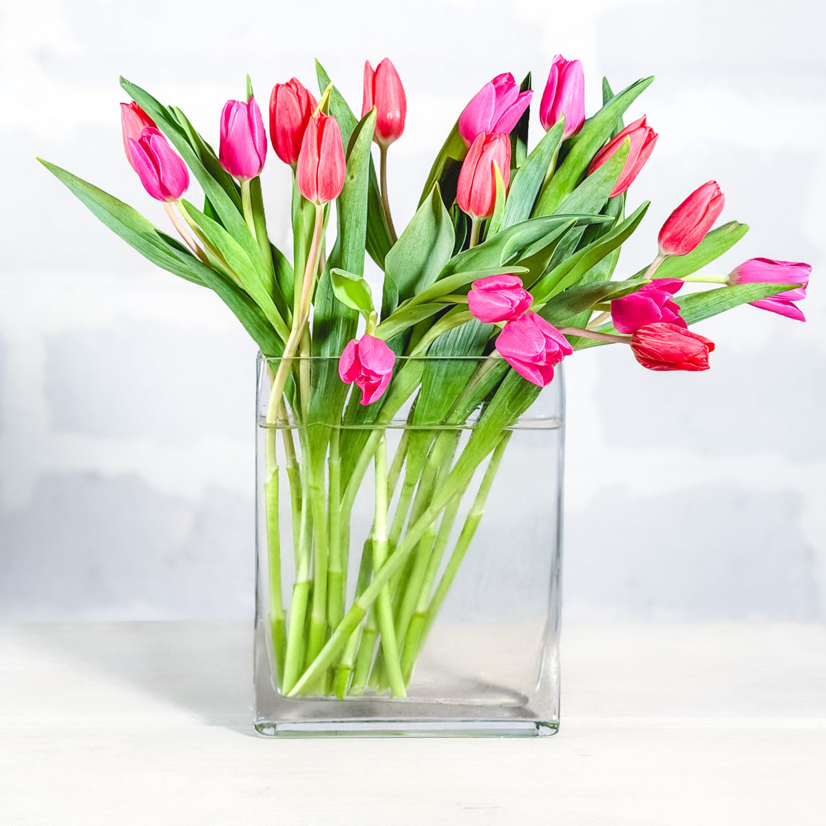Tulipana