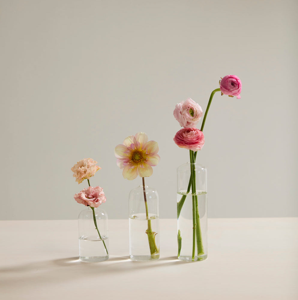 Set de Floreritos Highball