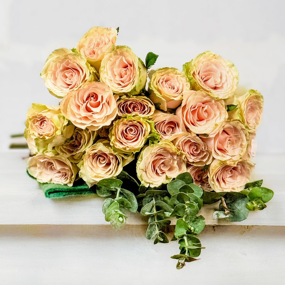 Atado de Rosas Pompei