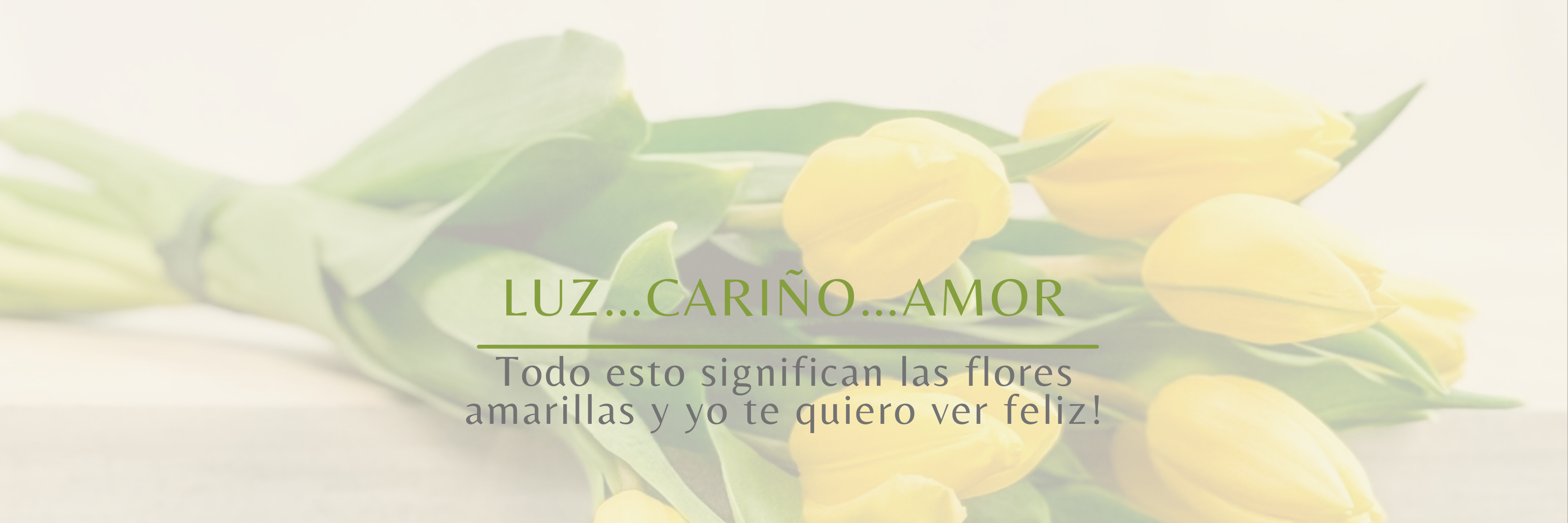 Flores Amarillas - Semana de la Primavera