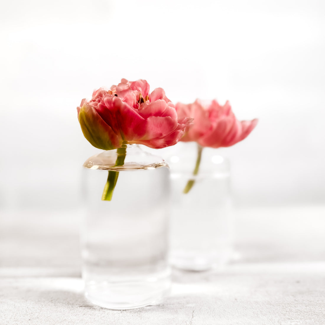 Set de Floreritos Highball