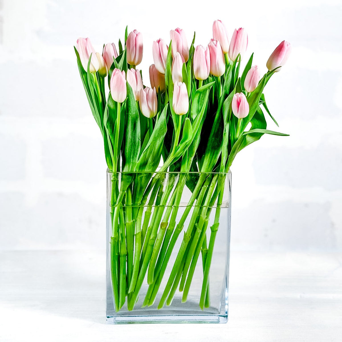 Tulipana